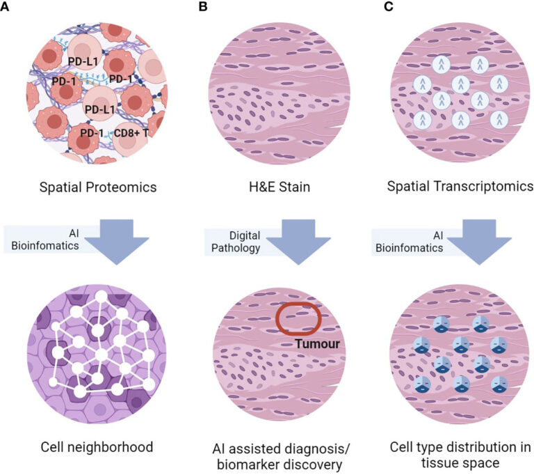 Spatial Omics